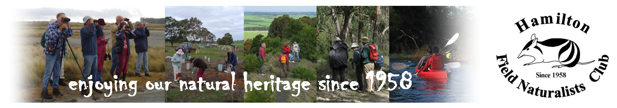 Enjoying Our Heritage